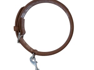 dog collar 3D Model