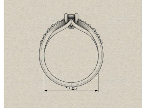 Ring Modelo de impresión 3D