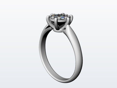 Ring 10st 3D Print Model
