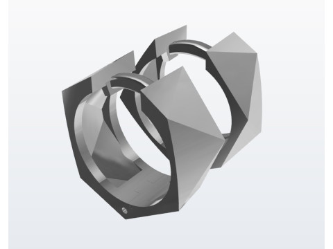 Earrings 3Dプリントモデル