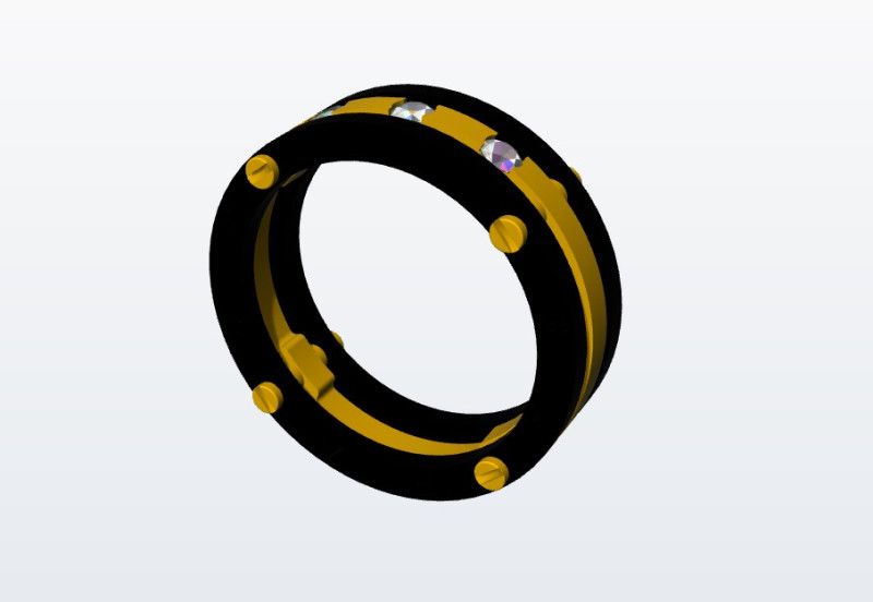Ring bicolor 3D Print Model .c4d .max .obj .3ds .fbx .stl .blend