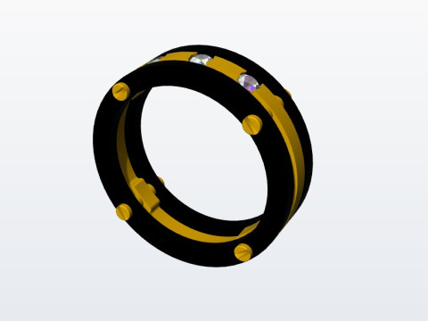 Ring bicolor 3Dプリントモデル