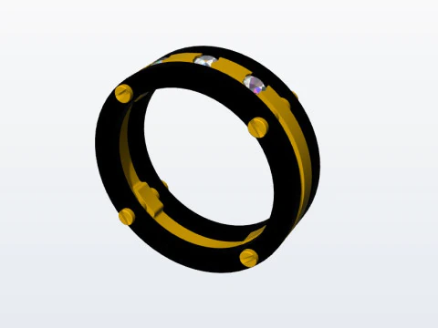 Ring bicolor 3D Print Model