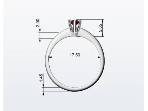 Ring 6 prong 3D Print Model