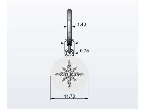 Earrings 3D Print Model
