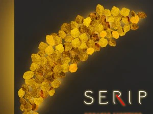 serip ap1468-fo 3D 모델