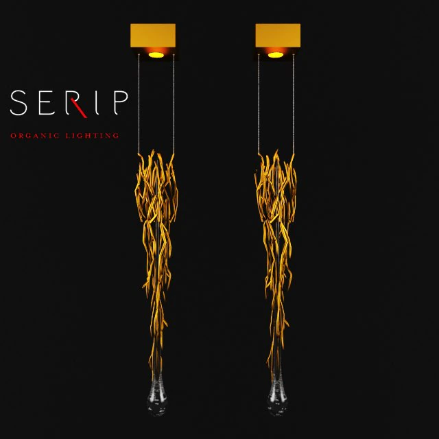 serip aqua 3D Model .c4d .max .obj .3ds .fbx .stl .blend 