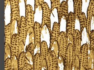 panneau mural 3d Modèle 3D