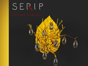 serip fascinium Model 3D