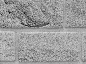 bricks wall 3D Model