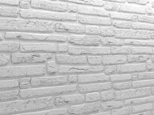bricks wall 3D Model