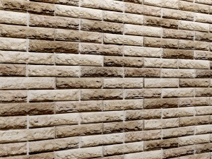 bricks wall 3D Model