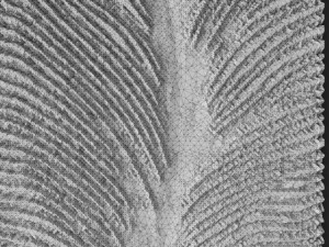 3d wall panel 3D 모델