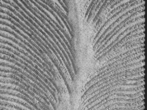 3d wall panel 3D Model