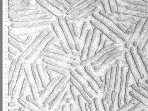 3d wall panel 3D Модель