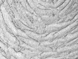 3d wall panel Modèle 3D