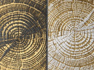 3d wall panel 3D Model