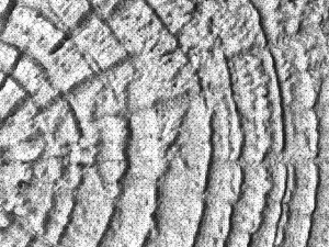 3d wall panel 3D Model