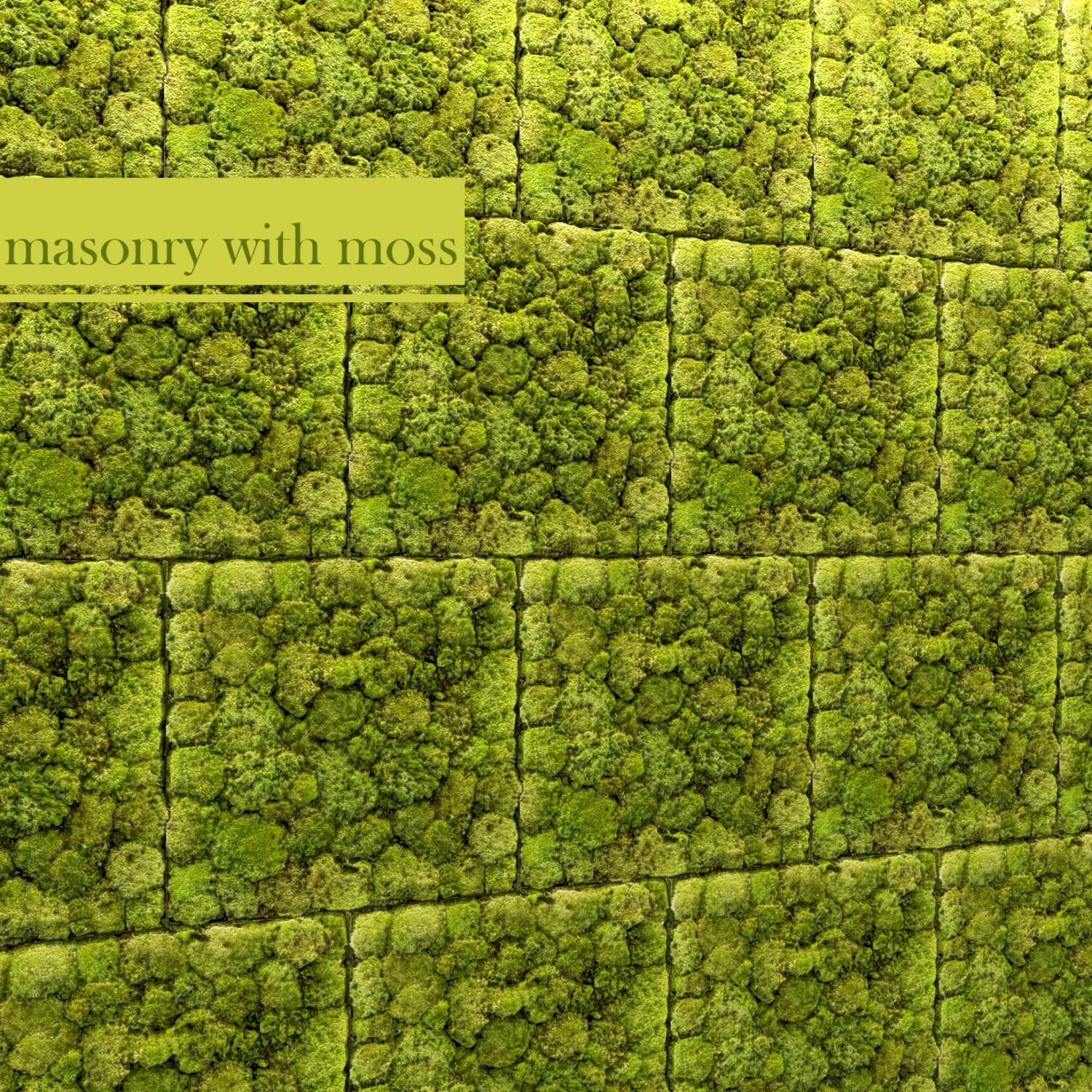 Stein und Moos 3D Modell .c4d .max .obj .3ds .fbx .stl .blend 