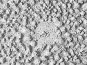 3d wall panel 3D Model