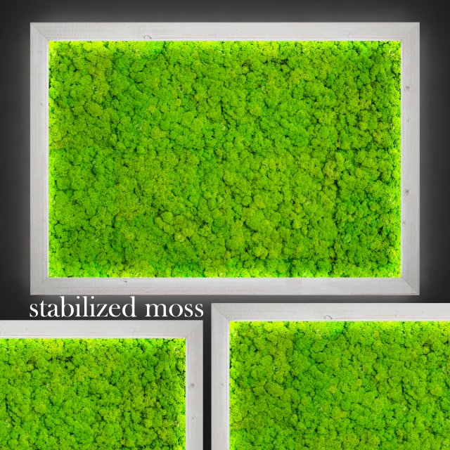 fytowall moss 3Dモデル .c4d .max .obj .3ds .fbx .stl .blend 