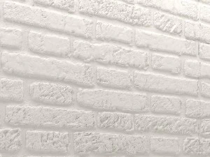 bricks wall 3d 3D Model