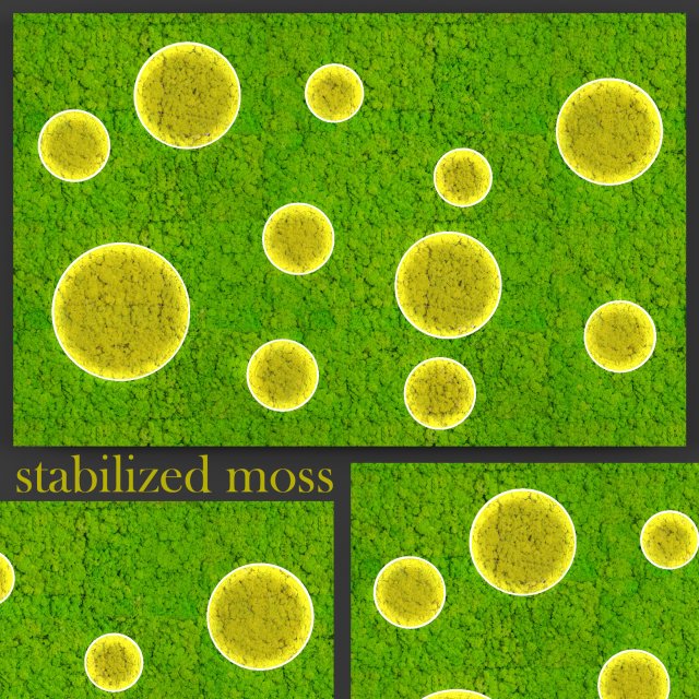 fytowall moss 3D Model .c4d .max .obj .3ds .fbx .stl .blend 