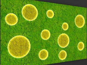 fytowall moss 3D Model
