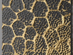 3d wall panel Model 3D