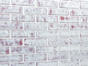 bricks wall 3d 3D Model