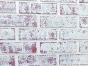 bricks wall 3d 3D Model