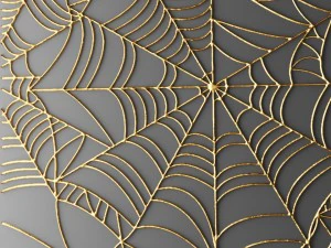 cobweb 3D Model