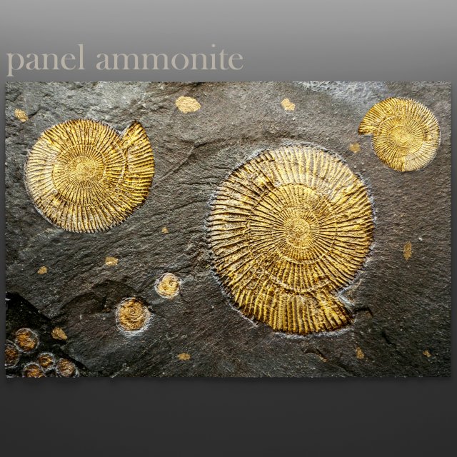 panel ammonite 3D 模型 .c4d .max .obj .3ds .fbx .stl .blend 