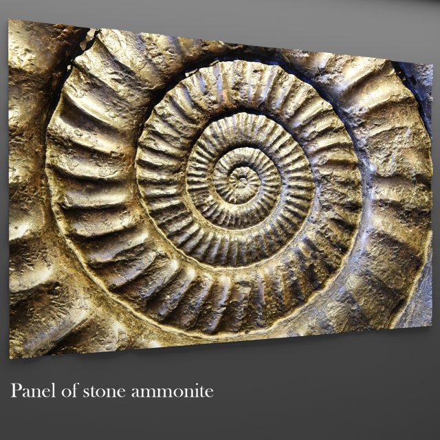 panel ammonite 3D Model .c4d .max .obj .3ds .fbx .stl .blend 