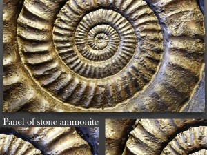 panel ammonite 3D Model