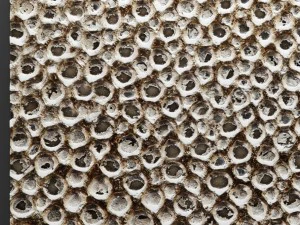 wall panel silver 3D Model