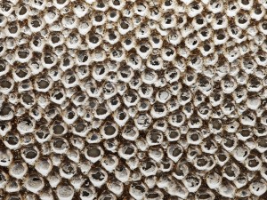 wall panel silver Modèle 3D