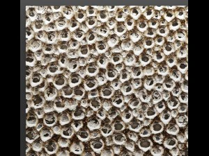 wall panel silver 3D Model