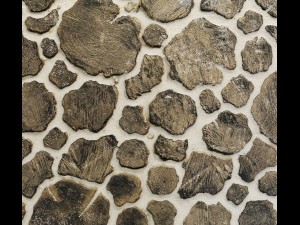 wood panel 3d 3D Model