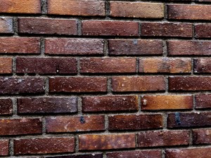 bricks wall 3d 3Dモデル