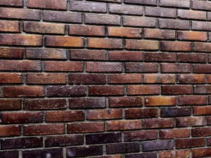 bricks wall 3d 3D Model