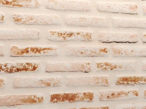 bricks wall 3d 3D 모델