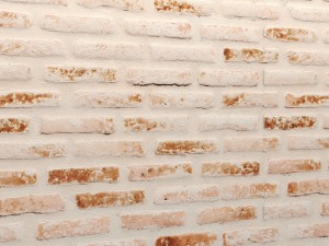 bricks wall 3d 3D 모델