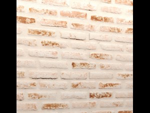 bricks wall 3d 3D 모델