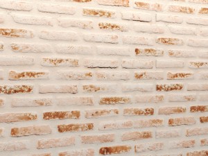 bricks wall 3d 3D 모델