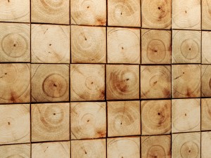 wood panel 3d Model 3D