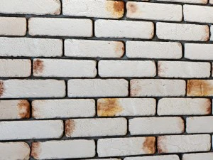 bricks wall 3d 3D Model