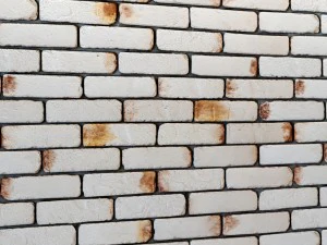 bricks wall 3d 3D Model