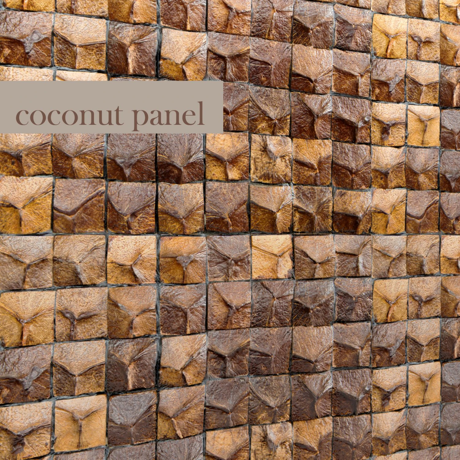 coconut panel 3D Model .c4d .max .obj .3ds .fbx .stl .blend 