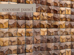 coconut panel 3D 模型